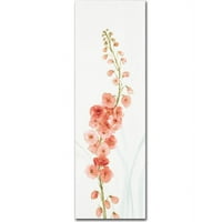 Трговска марка ликовна уметност Семки од виножито цвеќиња vii coral платно уметност од ревизија на Лиза